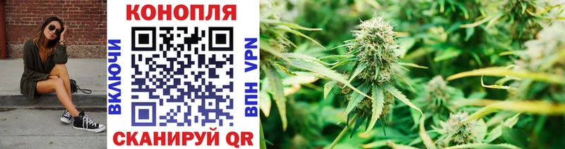 Где продают наркотики Каргат Бошки Шишки  МЕТАДОН  Гашиш  МЕФ 