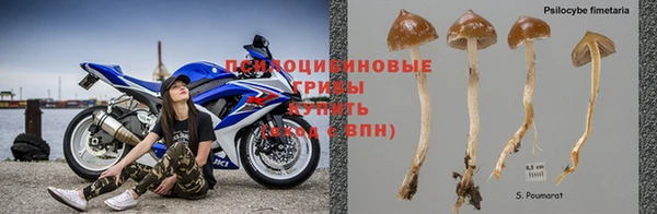 прущие крисы Алексин