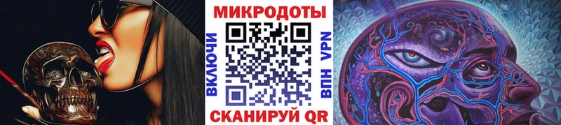 Псилоцибиновые грибы Psilocybine cubensis  сайты даркнета телеграм  Каргат  магазин продажи  
